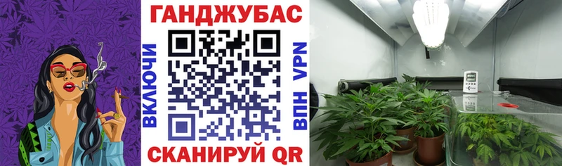 Бошки Шишки конопля  где можно купить наркотик  Рубцовск 